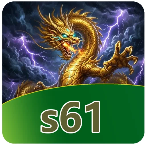 s61 Technical Info