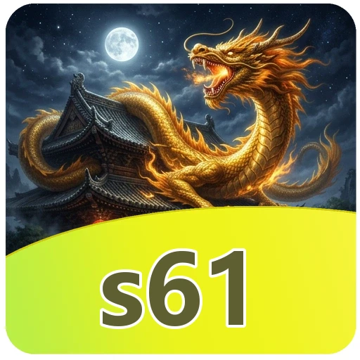 s61 Installation
