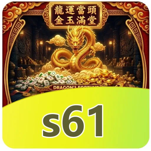 s61 FAQ