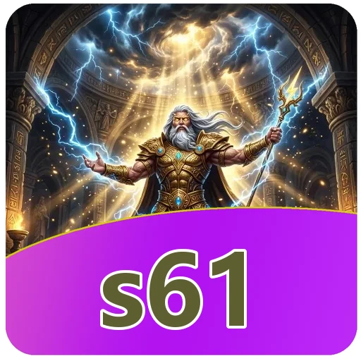 s61 Specifications